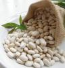 white-kidney-bean-extract